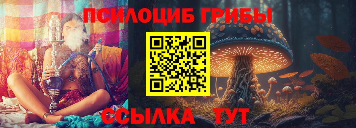 Фролово  Галлюциногенные грибы Psilocybine cubensis  Вход с VPN 