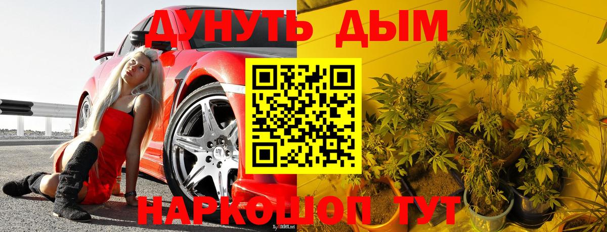 Конопля индика Фролово